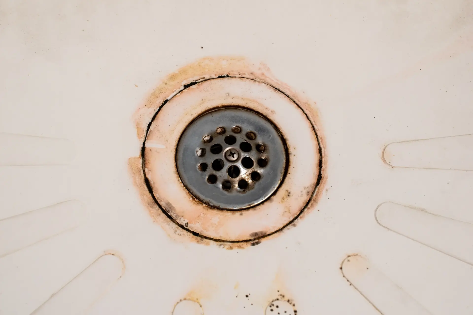 Drain Surveys and Inspections