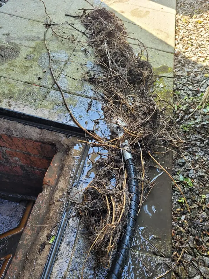 Drain Blockages And Repair Craigavon, Belfast, Lisburn